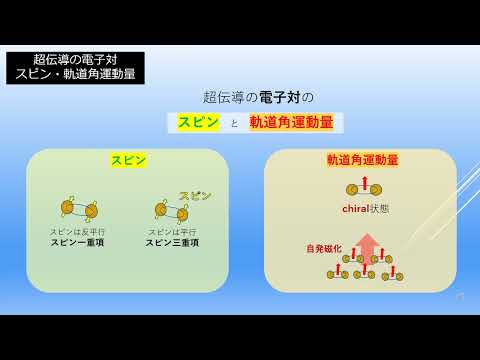 薬学科 研究室紹介｜兼安研究室（共通教育センター）