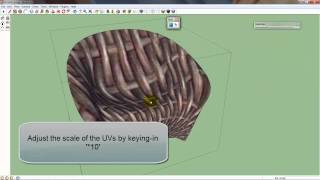 UV Mapping in SketchUp using SketchUV and Roadkill