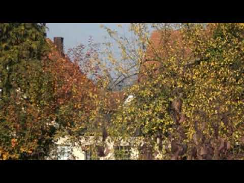 Landes Probealarm BY ERH Forth Feuerwehrhaus 17 10 2018 - E57