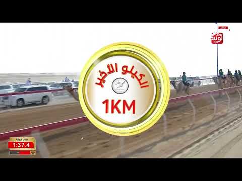 ش 2 (ميراج) لـ عمير عبدالله علي الراشدي 3:00:97 , ختامي العين 2026/10/03 السباق التراثي الروضة