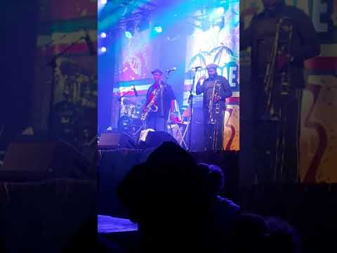 The Rockers Live 2019 in Belgium Reggea Geel