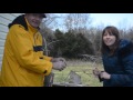 Placing The Bees In The Hive