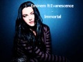 Eminem ft Evanescence - Immortal 