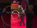 A Real Bear Performs At The Circus ‍ ️ So Funny Shorts