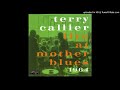 Terry Callier - It Will Not Be Long Love 'til Our Wedding Day