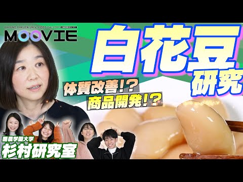 先端経営学科 『白花豆』って知ってる！？実はおつまみにも最適！杉村ゼミ、特別講座開講！