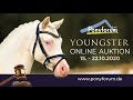 Reitvideo REMONTES CHESS Wallach 2017 V Norlunds Charming Hit Dressman II
