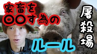 【屠殺場】動物を○○す為のルールとは？元屠殺人が解説します
