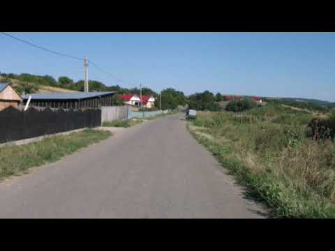 Satul Brădicești, comuna Dolhești, județul Iași...