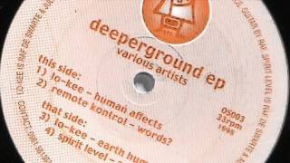 Lo-Kee - EArth Human