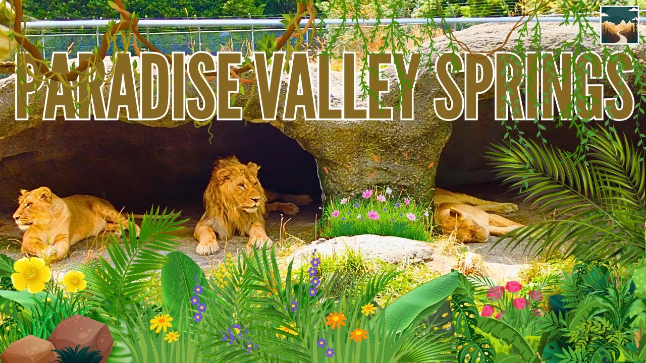 Experience a virtual tour of Paradise Valley Springs Wildlife Park.