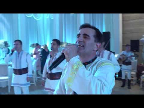N.Gribincea și Ansamblul Plăieșii - Banii mei, banii mei (Live-Nuntă)