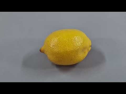 1600 Days in 8 Minutes   TOP 12 PLANT TIME LAPSES