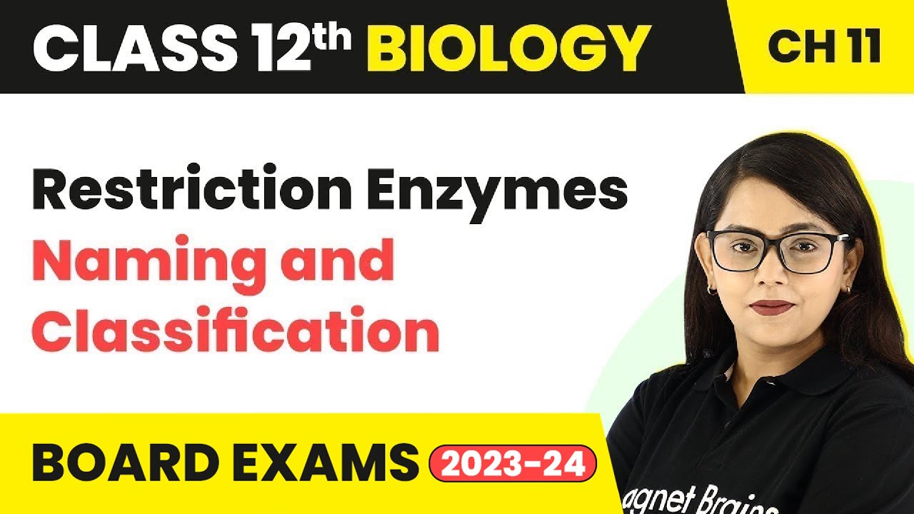 Restriction Enzymes Naming and Classification | Class 12 Biology Chapter 11 (2022-23)