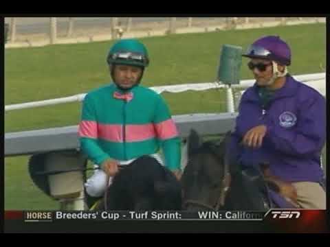 Zenyatta  - her dance moves + extended pre-race Breeders Cup 2009 footage