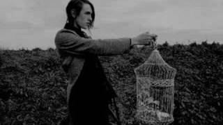 The Stars - Patrick Wolf