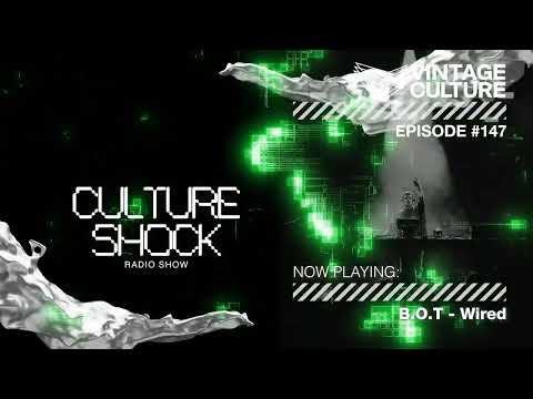 Vintage Culture - Culture Shock #147