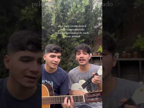 Lagartixa Tropica - Os Cabides