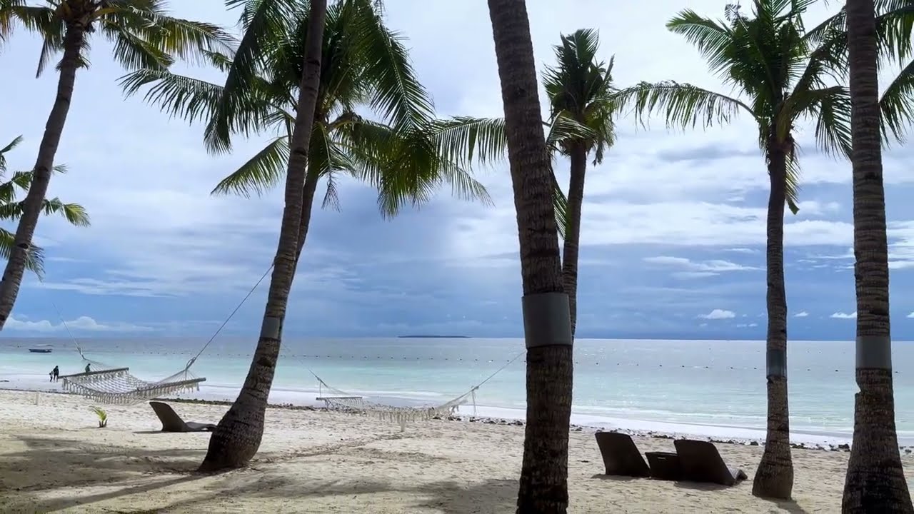 🌿2분 해외여행🌿 [필리핀 보홀] 에메랄드 비치