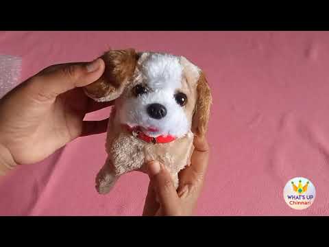 Fantastic jumping puppy toy unboxing and review