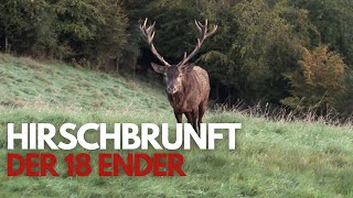 Hirschbrunft in Deutschland - der 18 Ender!