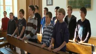 PCCB 2011 AMAURY VASSILI