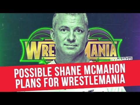Fight Size Update: DDP on Ronda Rousey, Togi Makabe Injury, Shane McMahon’s Wrestlemania Plans