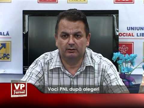 Voci PNL după alegeri