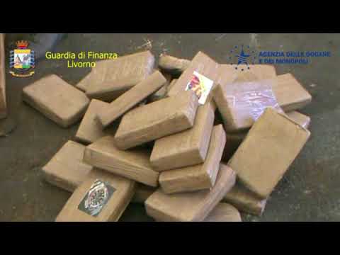 Cocaina dal Cile, maxi sequestro a Livorno