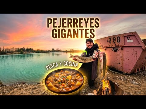 PESCA Y COCINA EN LA LAGUNA: Buscando el PEJERREY GIGANTE