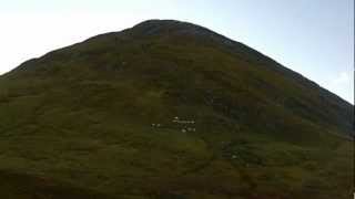 preview picture of video 'Horse, shepherd and sheep in Lyngen Alps. Hest, hund og sau i Lyngsalpan'