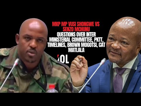 MK Party MP Vusi Shongwe vs Senzo Mchunu | Ad Hoc Committee | Policing   | Political Interference