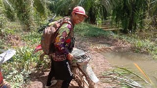 Download lagu Terjebak banjir@Ardi an6133 mp3