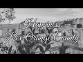 Rex Orange County - HAPPINESS (lyrics)