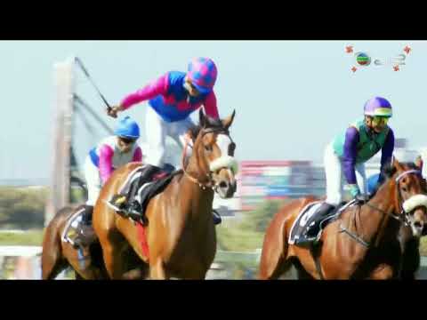 2022 Schweppes Majorca Stakes G1 - Captain's Ransom (蘭森隊長) - R.Fourie