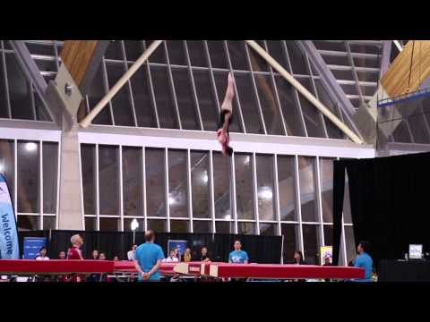 Jason Burnett - Senior men's trampoline prelims - Pacific Rim Gymnastics Championships 2014