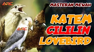 Download lagu KAPAS TEMBAK - CILILIN - LOVEBIRD | MASTERAN KOMBINASI ISTIMEWA mp3
