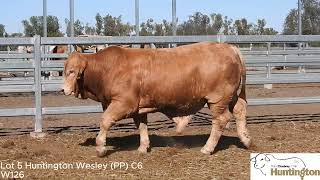 Lot 5 - HUNTINGTON WESLEY (PP)