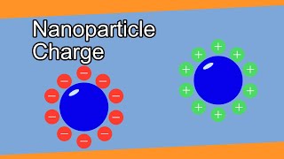 Nanoparticle Charge | Particles 101
