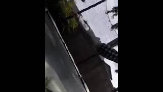 shot on iphone meme #short