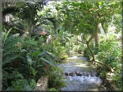 Coll & Deadly lyrics