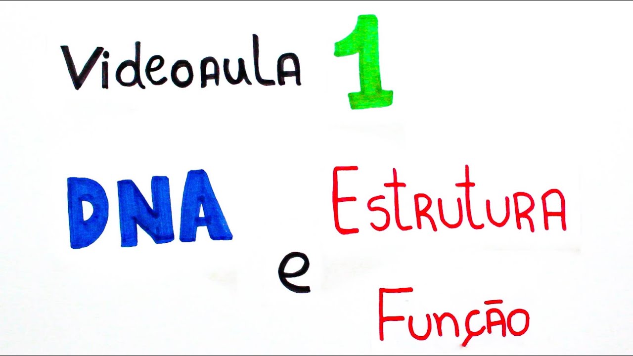 DNA - Estrutura e Função