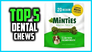 ✅Top 5 Best Dental Chews For Dogs in 2025
