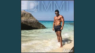 DIMMI