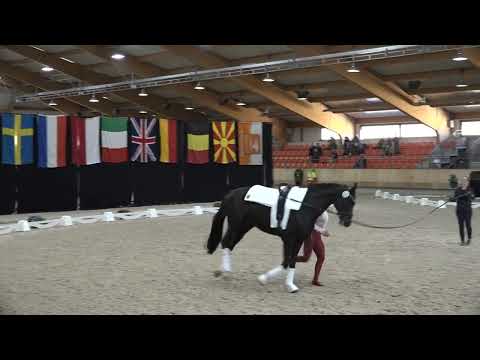 Paula Waskowiak freestyle