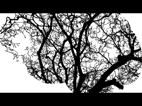 Meningitis | FSP Gruppen-Training 20.02.2019-02 (Demo)