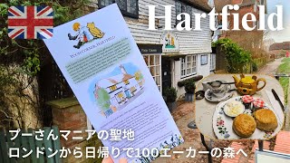【日帰り】くまのプーさんの故郷はイギリスに実在した! 🧸🍯🐝プーさんカフェで優雅にティータイム