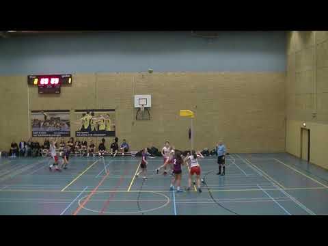 Refleks 1 - Ijsselvogels 1 (2019)