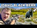 I Hunted Black Bears For The First Time