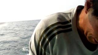SANY0230